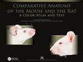 Constantinescu |  Comparative Anatomy of the Mouse and the Rat | Buch |  Sack Fachmedien