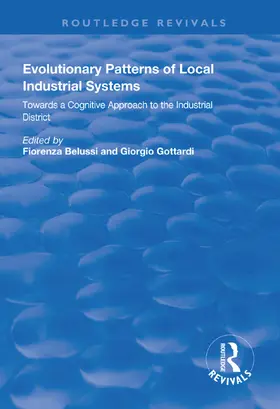 Belussi / Gottardi |  Evolutionary Patterns of Local Industrial Systems | Buch |  Sack Fachmedien