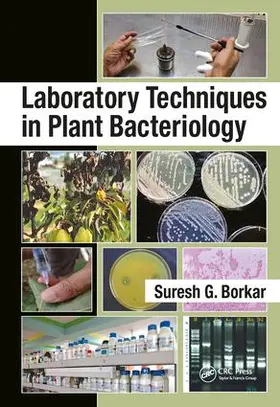 Borkar | Laboratory Techniques in Plant Bacteriology | Buch | 978-1-138-63405-3 | www.sack.de