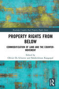 De Schutter / Rajagopal |  Property Rights from Below | Buch |  Sack Fachmedien