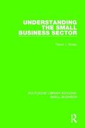 Storey |  Understanding the Small Business Sector | Buch |  Sack Fachmedien