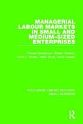 Wynarczyk / Watson / Storey |  Managerial Labour Markets in Small and Medium-Sized Enterprises | Buch |  Sack Fachmedien