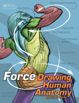 Mattesi |  FORCE: Drawing Human Anatomy | Buch |  Sack Fachmedien