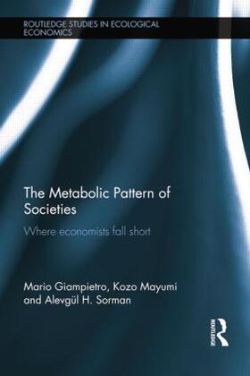 Giampietro / Mayumi / Sorman | The Metabolic Pattern of Societies | Buch | 978-1-138-80292-6 | sack.de