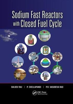 Raj / Chellapandi / Vasudeva Rao |  Sodium Fast Reactors with Closed Fuel Cycle | Buch |  Sack Fachmedien