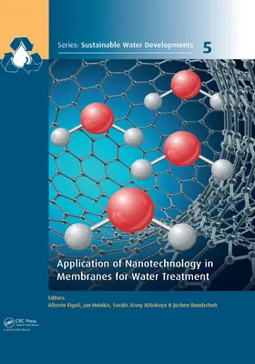 Figoli / Hoinkis / Altinkaya | Application of Nanotechnology in Membranes for Water Treatment | Buch | 978-1-138-89658-1 | www.sack.de