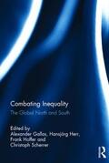 Gallas / Herr / Hoffer |  Combating Inequality | Buch |  Sack Fachmedien