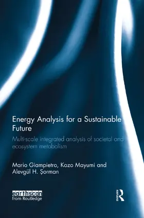 Giampietro / Mayumi / Sorman |  Energy Analysis for a Sustainable Future | Buch |  Sack Fachmedien