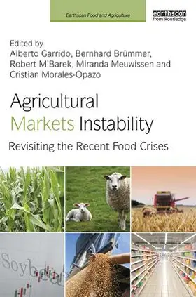 Garrido / Brümmer / M'Barek | Agricultural Markets Instability | Buch | 978-1-138-93741-3 | sack.de