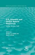 Castle / Price |  U.S. Interests and Global Natural Resources | Buch |  Sack Fachmedien