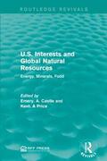 Castle / Price |  U.S. Interests and Global Natural Resources | Buch |  Sack Fachmedien