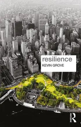 Grove | Resilience | Buch | 978-1-138-94903-4 | sack.de