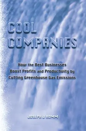 Romm | Cool Companies | Buch | 978-1-138-96671-0 | www.sack.de