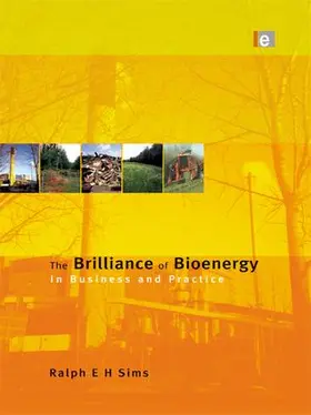 Sims |  The Brilliance of Bioenergy | Buch |  Sack Fachmedien