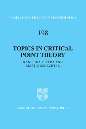 Perera |  Topics in Critical Point Theory | eBook | Sack Fachmedien