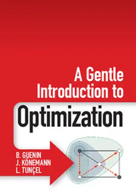 Guenin / Könemann / Tunçel |  A Gentle Introduction to Optimization | eBook | Sack Fachmedien