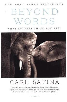 Safina |  Beyond Words | Buch |  Sack Fachmedien