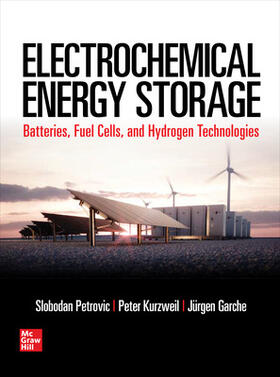 Garche / Petrovic / Kurzweil |  Electrochemical Energy Storage | Buch |  Sack Fachmedien