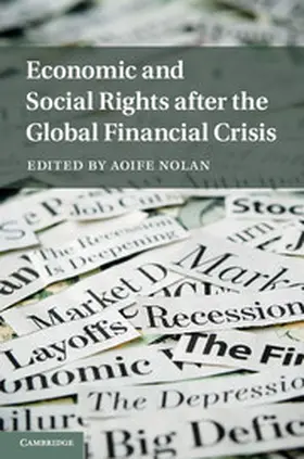 Nolan |  Economic and Social Rights after the Global Financial Crisis | eBook | Sack Fachmedien