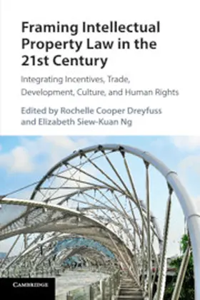 Dreyfuss / Ng |  Framing Intellectual Property Law in the 21st Century | Buch |  Sack Fachmedien