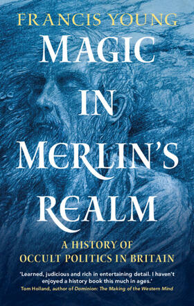 Young | Magic in Merlin's Realm | Buch | 978-1-316-51240-1 | sack.de