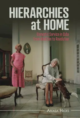 Hicks | Hierarchies at Home | Buch | 978-1-316-51365-1 | sack.de
