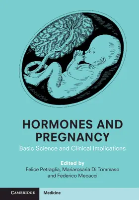 Petraglia / Di Tommaso / Mecacci | Hormones and Pregnancy | Buch | 978-1-316-51666-9 | www.sack.de