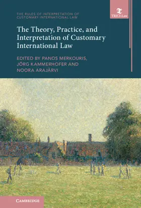 Merkouris / Kammerhofer / Arajärvi |  The Theory, Practice, and Interpretation of Customary International Law | Buch |  Sack Fachmedien