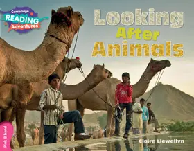 Llewellyn |  Cambridge Reading Adventures Looking After Animals Pink B Band | Buch |  Sack Fachmedien