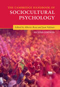 Rosa / Valsiner |  The Cambridge Handbook of Sociocultural Psychology | Buch |  Sack Fachmedien