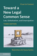 de Sousa Santos |  Toward a New Legal Common Sense | Buch |  Sack Fachmedien