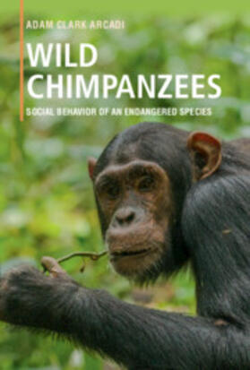 Arcadi | Wild Chimpanzees | Buch | 978-1-316-64756-1 | sack.de