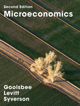 Goolsbee / Levitt / Syverson | Microeconomics | Buch | 978-1-319-15396-0 | sack.de