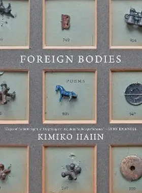 Hahn |  Foreign Bodies | eBook | Sack Fachmedien