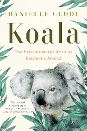 Clode |  Koala | eBook | Sack Fachmedien