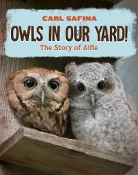 Safina |  Owls in Our Yard! | eBook | Sack Fachmedien