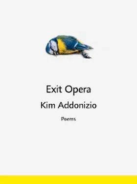 Addonizio |  Exit Opera | eBook | Sack Fachmedien