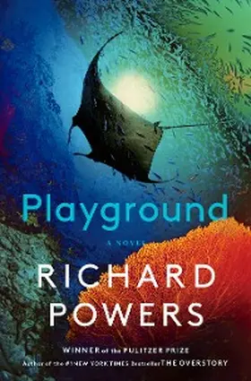 Powers |  Playground | eBook | Sack Fachmedien