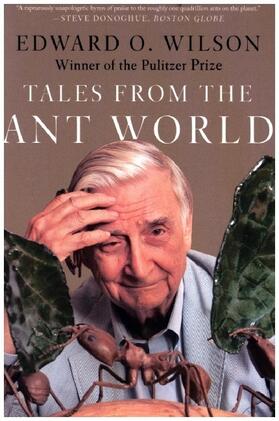 Wilson |  Tales from the Ant World | Buch |  Sack Fachmedien