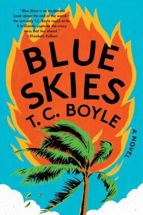 Boyle |  Blue Skies | Buch |  Sack Fachmedien