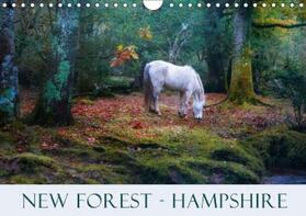 Kruse |  New Forest Hampshire 2017 | Sonstiges |  Sack Fachmedien