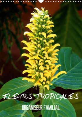 Blank |  Fleurs tropicales / organiseur familial (Calendrier mural 2021 DIN A3 vertical) | Sonstiges |  Sack Fachmedien