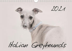 Redecker |  Italian Greyhounds 2021 (Wall Calendar 2021 DIN A4 Landscape) | Sonstiges |  Sack Fachmedien