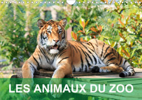 Giot |  Les animaux du zoo (Calendrier mural 2021 DIN A4 horizontal) | Sonstiges |  Sack Fachmedien
