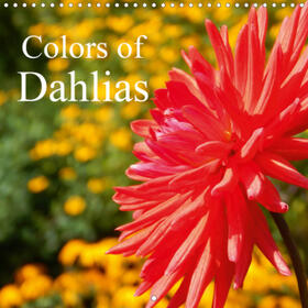 Busch |  Colors of Dahlias (Wall Calendar 2021 300 × 300 mm Square) | Sonstiges |  Sack Fachmedien