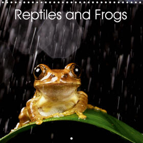 Bridger |  Reptiles and Frogs (Wall Calendar 2021 300 × 300 mm Square) | Sonstiges |  Sack Fachmedien
