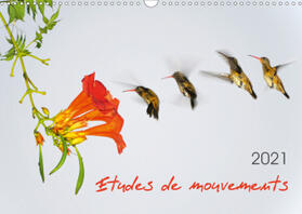Zeidler |  Etudes de mouvements (Calendrier mural 2021 DIN A3 horizontal) | Sonstiges |  Sack Fachmedien