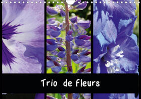 Busch |  Trio de fleurs (Calendrier mural 2021 DIN A4 horizontal) | Sonstiges |  Sack Fachmedien