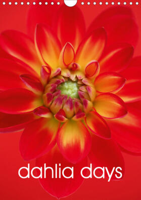 Haslam |  dahlia days (Wall Calendar 2021 DIN A4 Portrait) | Sonstiges |  Sack Fachmedien