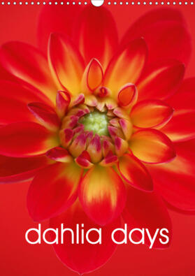 Haslam |  dahlia days (Wall Calendar 2021 DIN A3 Portrait) | Sonstiges |  Sack Fachmedien